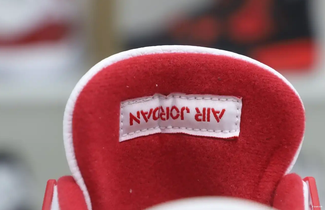 AIR ALTERNATE RETRO 89 JORDAN4 0529